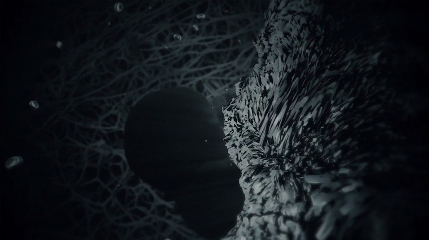 You are currently viewing Ambient Black Metal : MITOCHONDRIAL SUN mit ‘Sju Pulsarer‘ Video