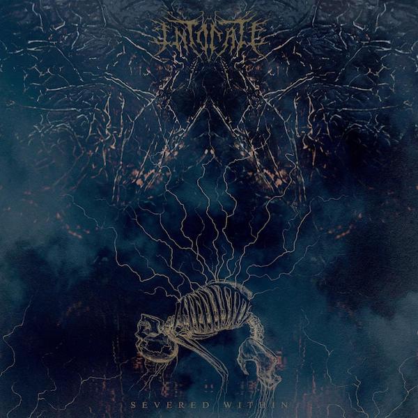 You are currently viewing INTONATE  – ‘Yearn‘: Technical Death vom kommenden Album
