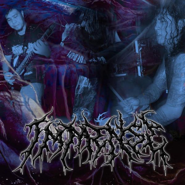 Read more about the article IMMENSEs “Torture Banished” – Brutal Death als Full Album Stream
