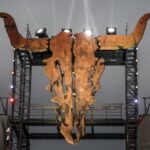 Wacken Open Air auf 2022 verschoben