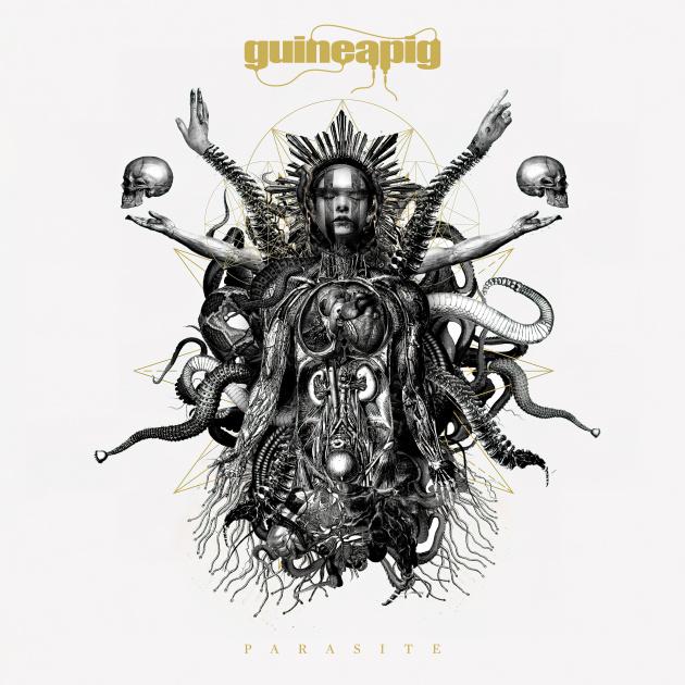 You are currently viewing GUINEAPIG  – Goregrinder sind zurück: `City Of The Monkey God’ Video