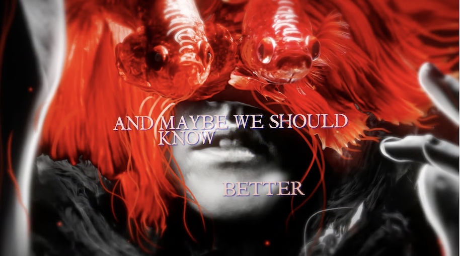 You are currently viewing AMARANTHE – `Make it Better` ft. Jennifer Haben (BEYOND THE BLACK)