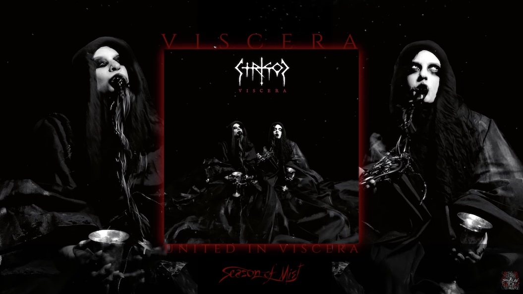 You are currently viewing STRIGOI – “Viscera“ Pre-Release Full Album Stream