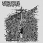 VACUOUS – „Dreams of Dysphoria“ Full Album Stream des Nightmare Death Outfits