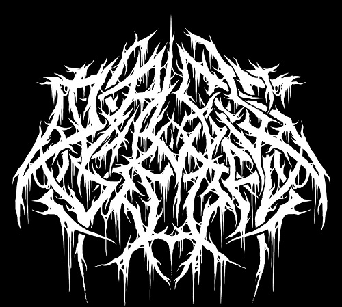 You are currently viewing OUR LOSS IS TOTAL – Neaera, Heaven Shall Burn Member go Black Metal: `A Roar In The Deep´