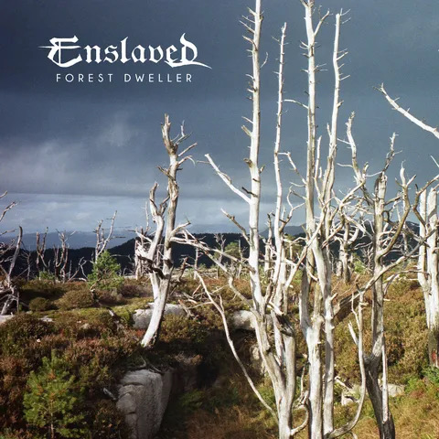 You are currently viewing ENSLAVED – Single und Video zu `Forest Dweller´ vorgestellt