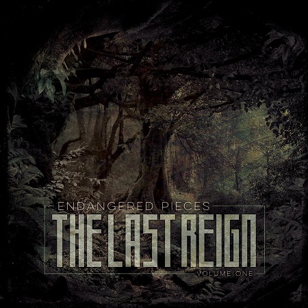 You are currently viewing THE LAST REIGN – Melo Death Metaller mit `Ravenous´ (Arch Enemy Cover)