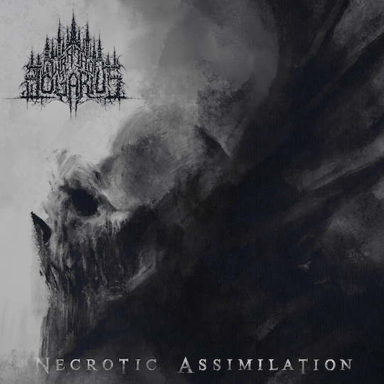 You are currently viewing WRATH OF LOGARIUS – ”Necrotic Assimilation” Full EP Stream der “Formless Black Metaller“