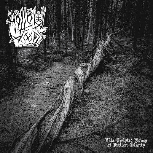 You are currently viewing HOLLOW WOODS  – Premiere für neue Single: `Night Burns Through`