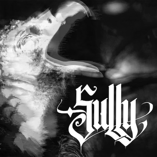 Read more about the article SULLY – Brutal Truth, Nuclear Assault, Psyopus Member grinden `DeadPan`