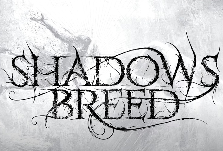 Mehr über den Artikel erfahren SHADOWS BREED – Melodic Death aus Costa Rica: `Embracing Depths´ Debütsingle