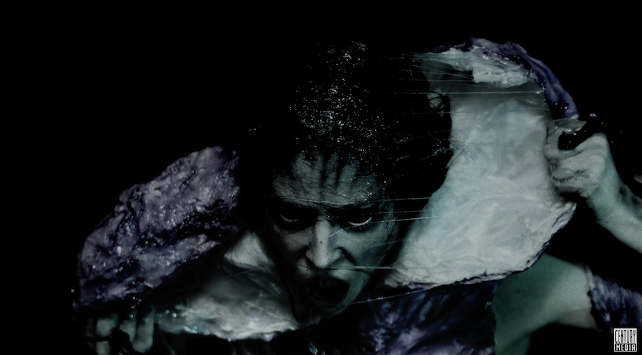 Du betrachtest gerade SIGNS OF THE SWARM – `Natural Selection` Video zum Albumrelease