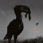 HERETOIR – Dritte „Solastalgia“ Single der Blackgazer: `You Are The Night´ Video