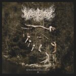 WALDGEFLÜSTER – Black Metal meets Goth im neuen Track `Crusade in the Dark`