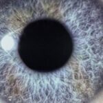 DAN SWANÖ – `Uncreation` Remaster 2026 vom kommenden Rerelease