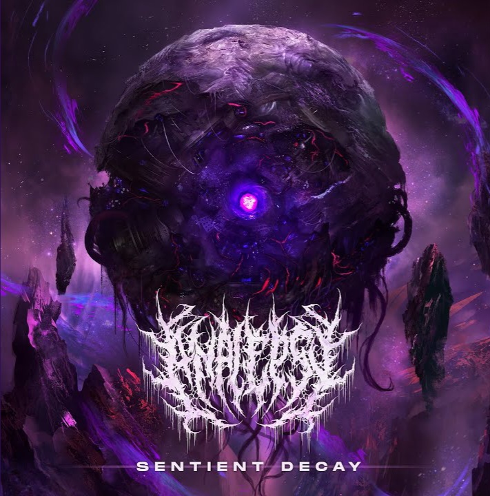 Du betrachtest gerade ANALEPSY – `Sentient Decay´ Videosingle enthüllt