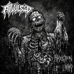 AVULSED – Knüppeln nächsten Coversong: `Abduction Of Limbs´ (Old Funeral)