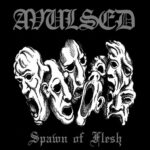 AVULSED – Teilen ihr `Spawn of Flesh´ (Macabre End Cover)